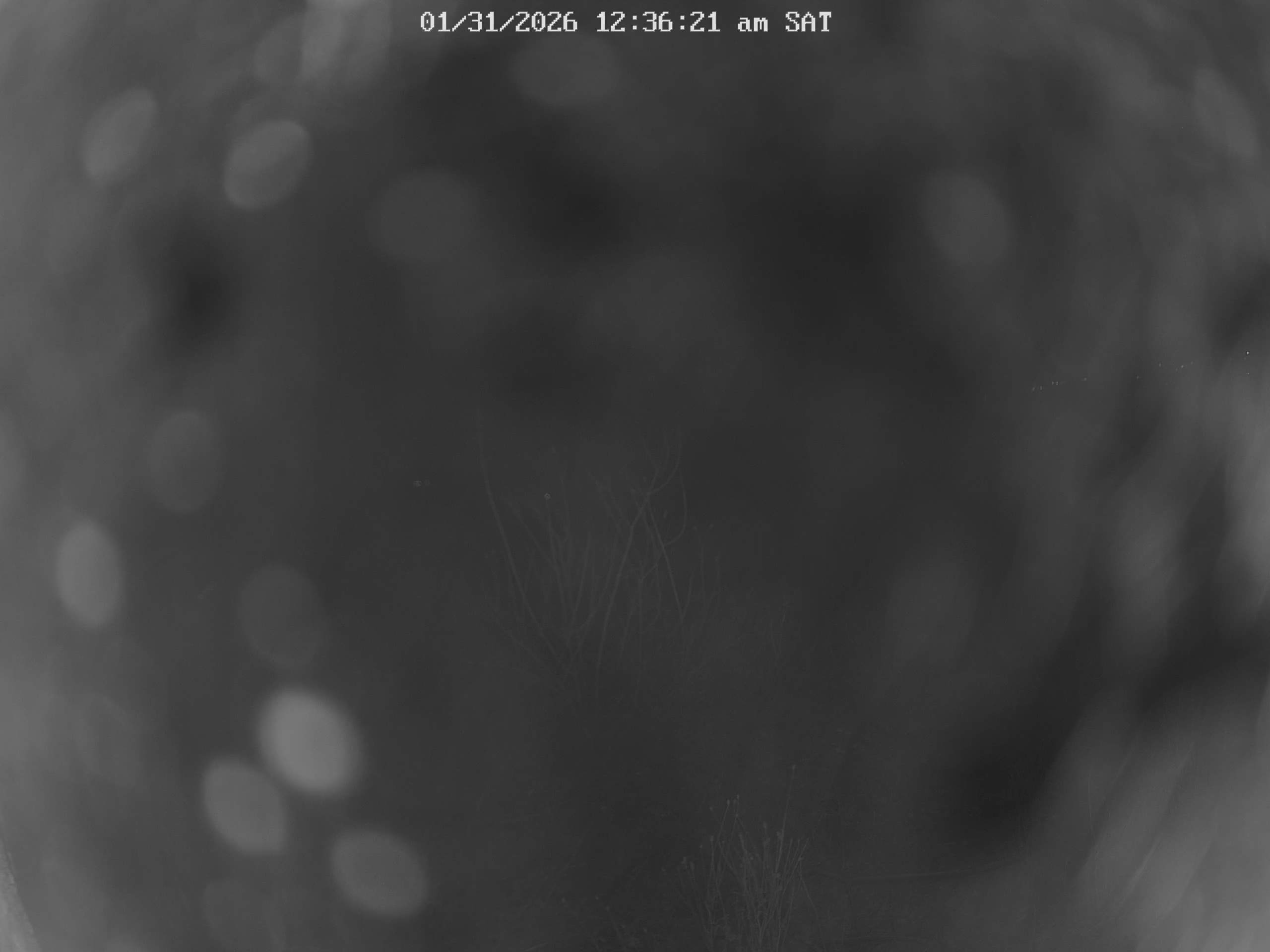 Photo from Graveyard Point